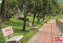 Xử lý nghiêm hành vi quảng cáo phun sơn ghế đá nơi công cộng