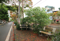 Hàng loạt ghế đá ở Hoàng Mai (Hà Nội) bị sơn quảng cáo cá độ